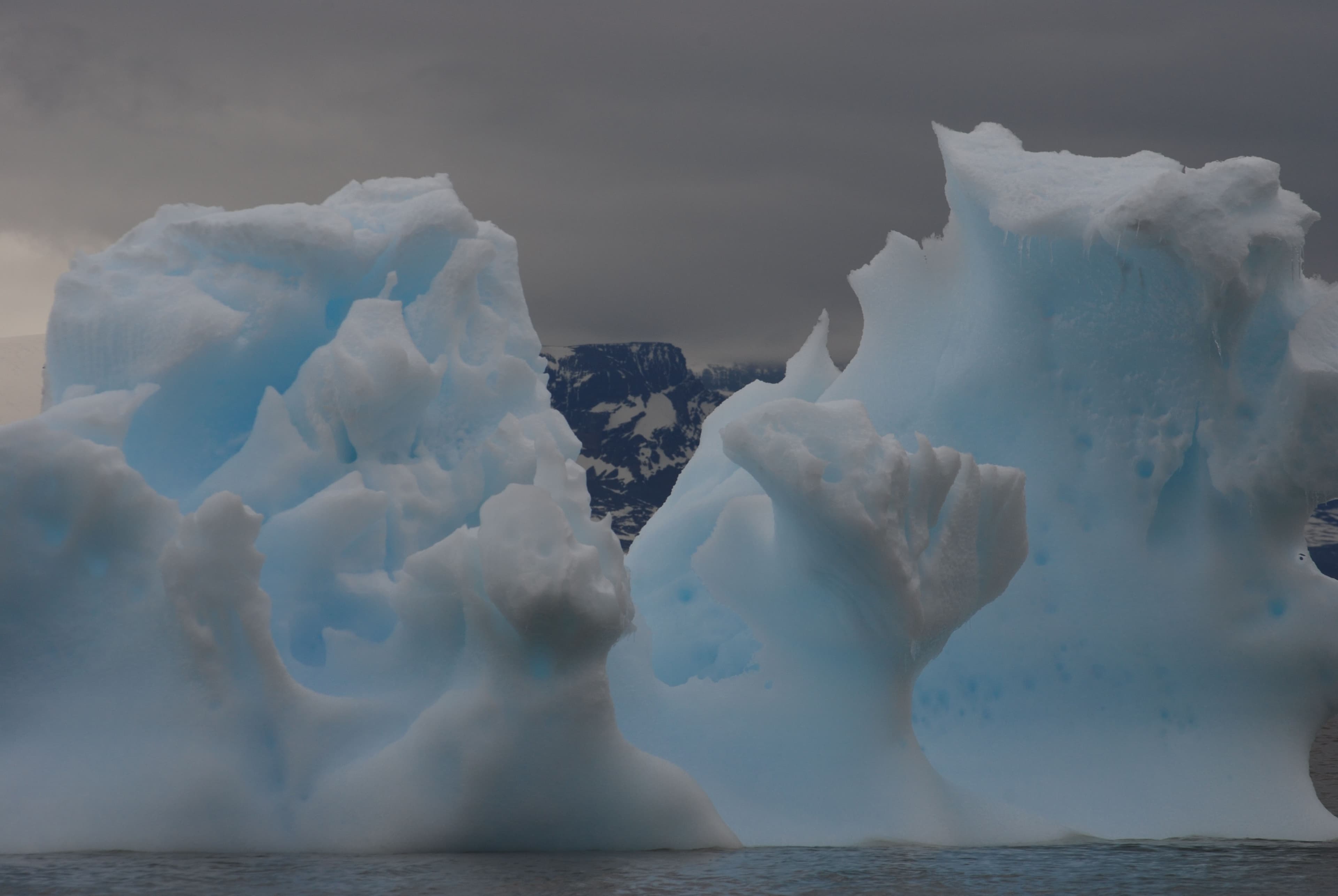 Naturaleza austral de Isla Martillo