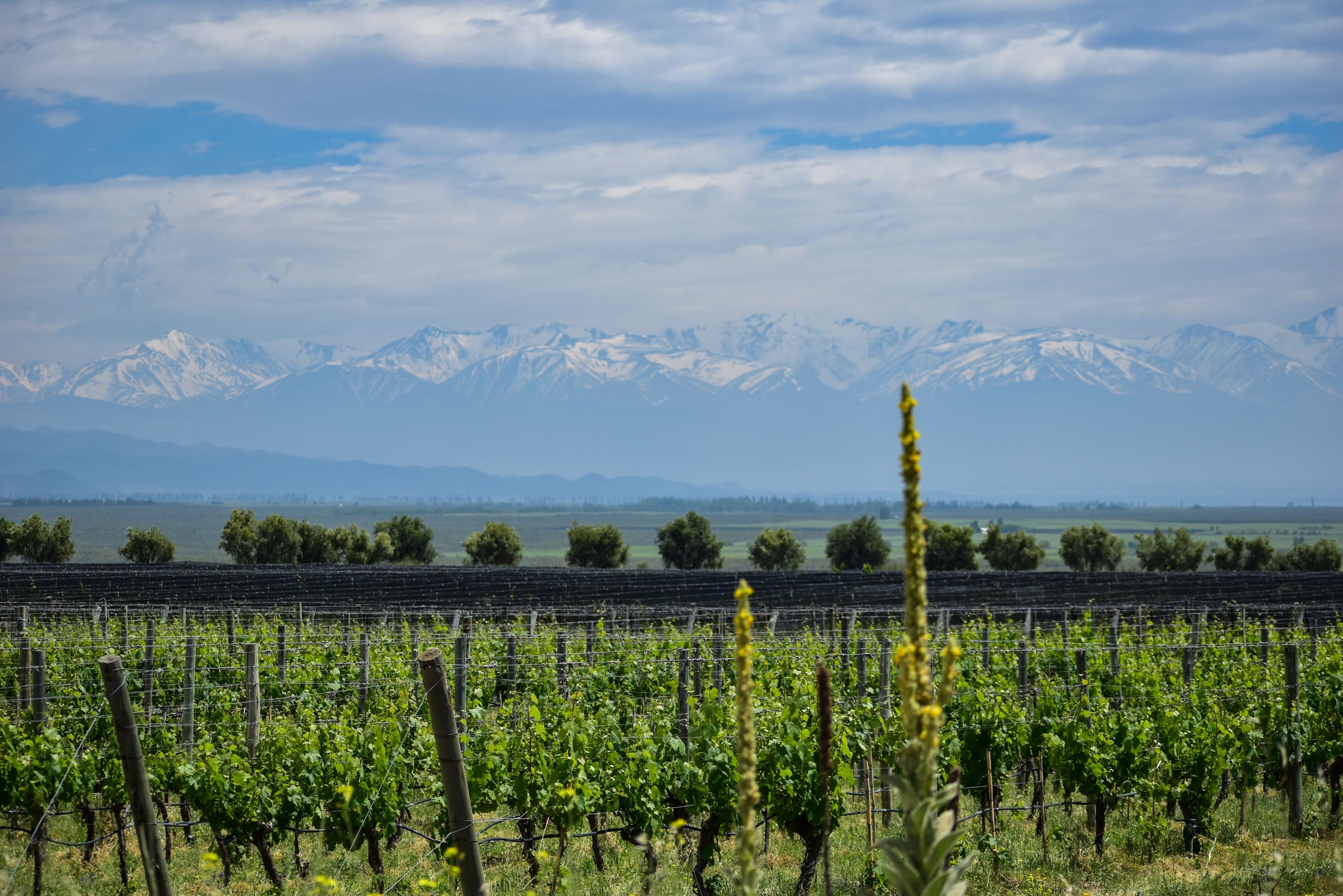 Paisaje natural de Mendoza