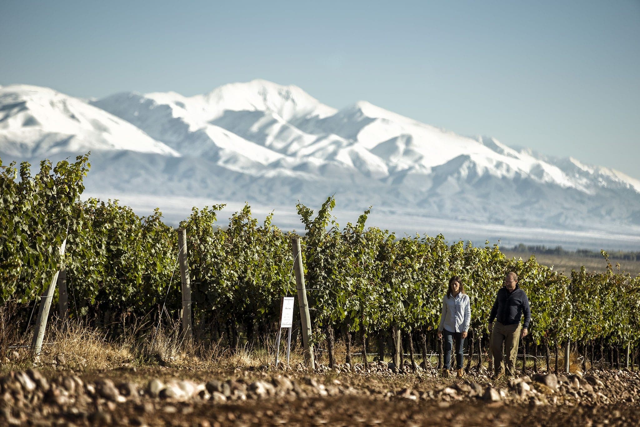 La Ruta de las Burbujas | Espumantes & Bodegas