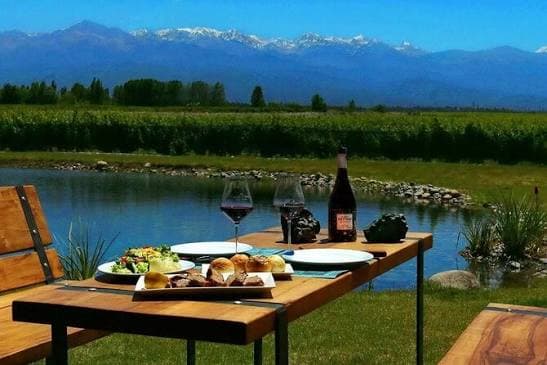 Vinos y Sabores de Maipú | Bodegas, Oliva y Gastronomía