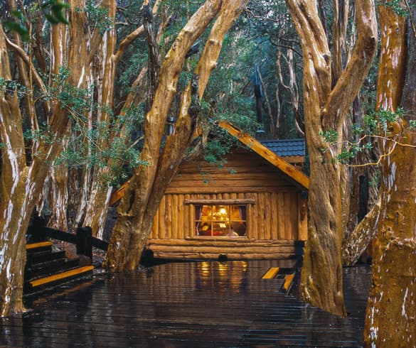 Isla Victoria y Bosque de Arrayanes | Experiencia preferencial