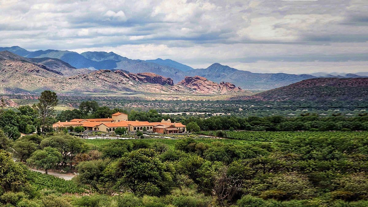 Vinos de altura y arte entre montañas