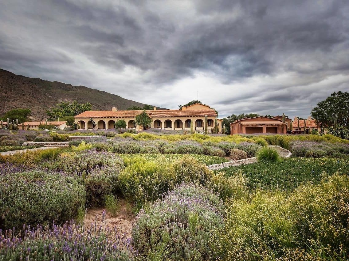 Vinos de altura y arte entre montañas