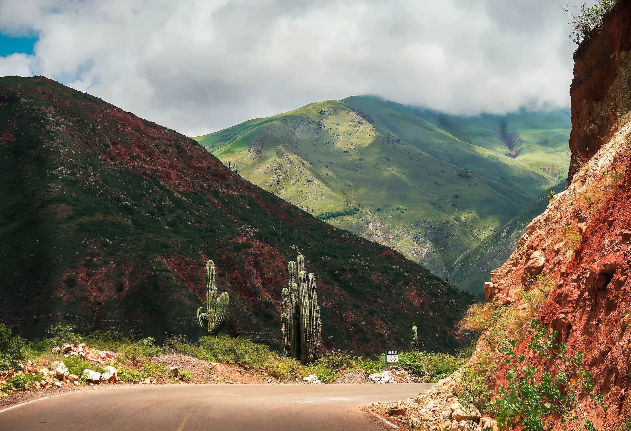 Vuelta a los Valles Calchaquíes | 1 día