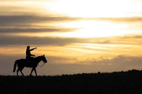 Cabalgata al atardecer en la estepa fueguina