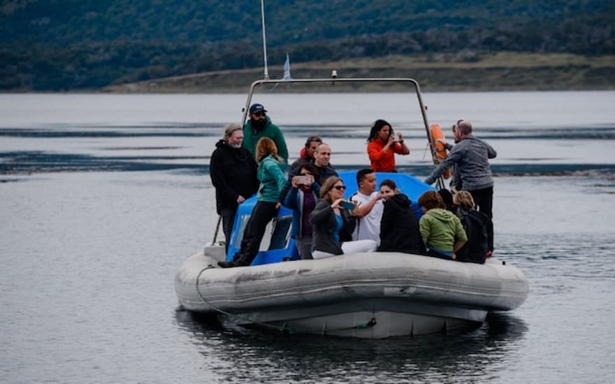Avistaje de pingüinos en barco pequeño