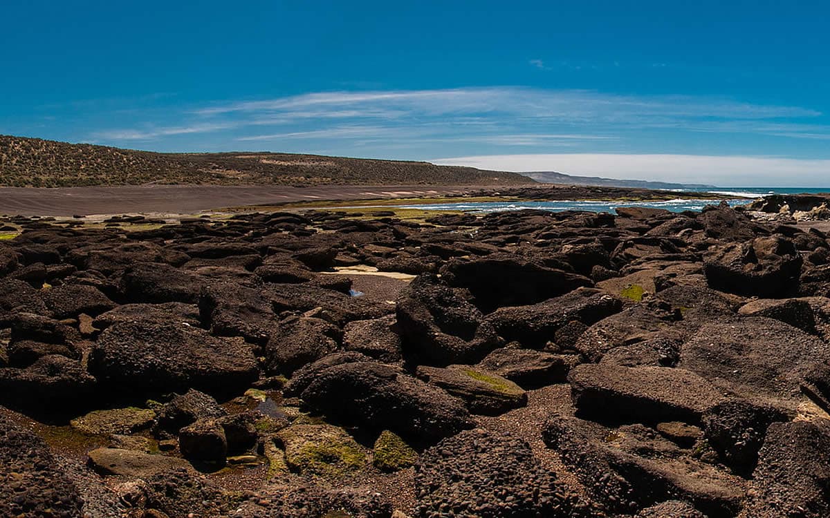 Punta Tombo & Isla Escondida
