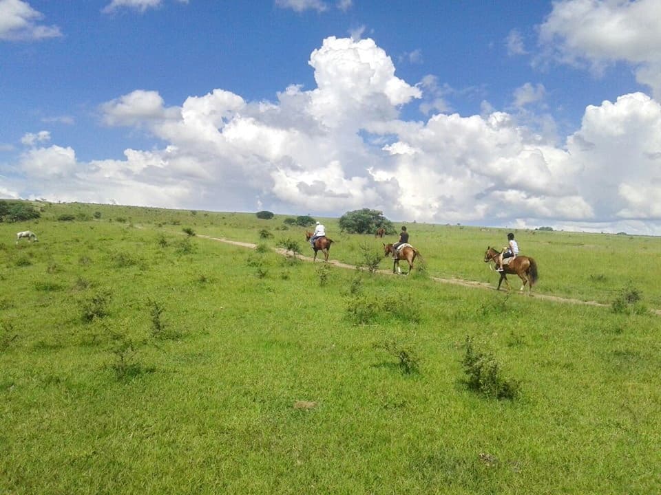 Cabalgata en San Lorenzo | 3 horas