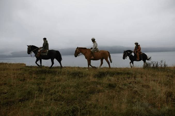 Cabalgata Lago Nordenskjöld