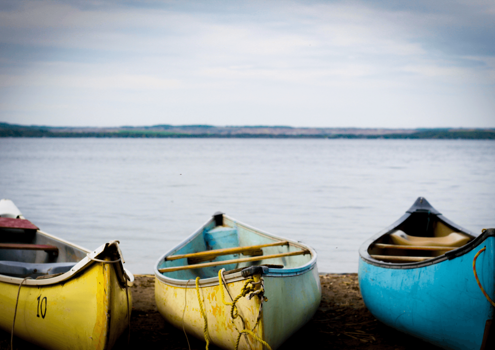 Isla Gable y Pinguinera con canoas