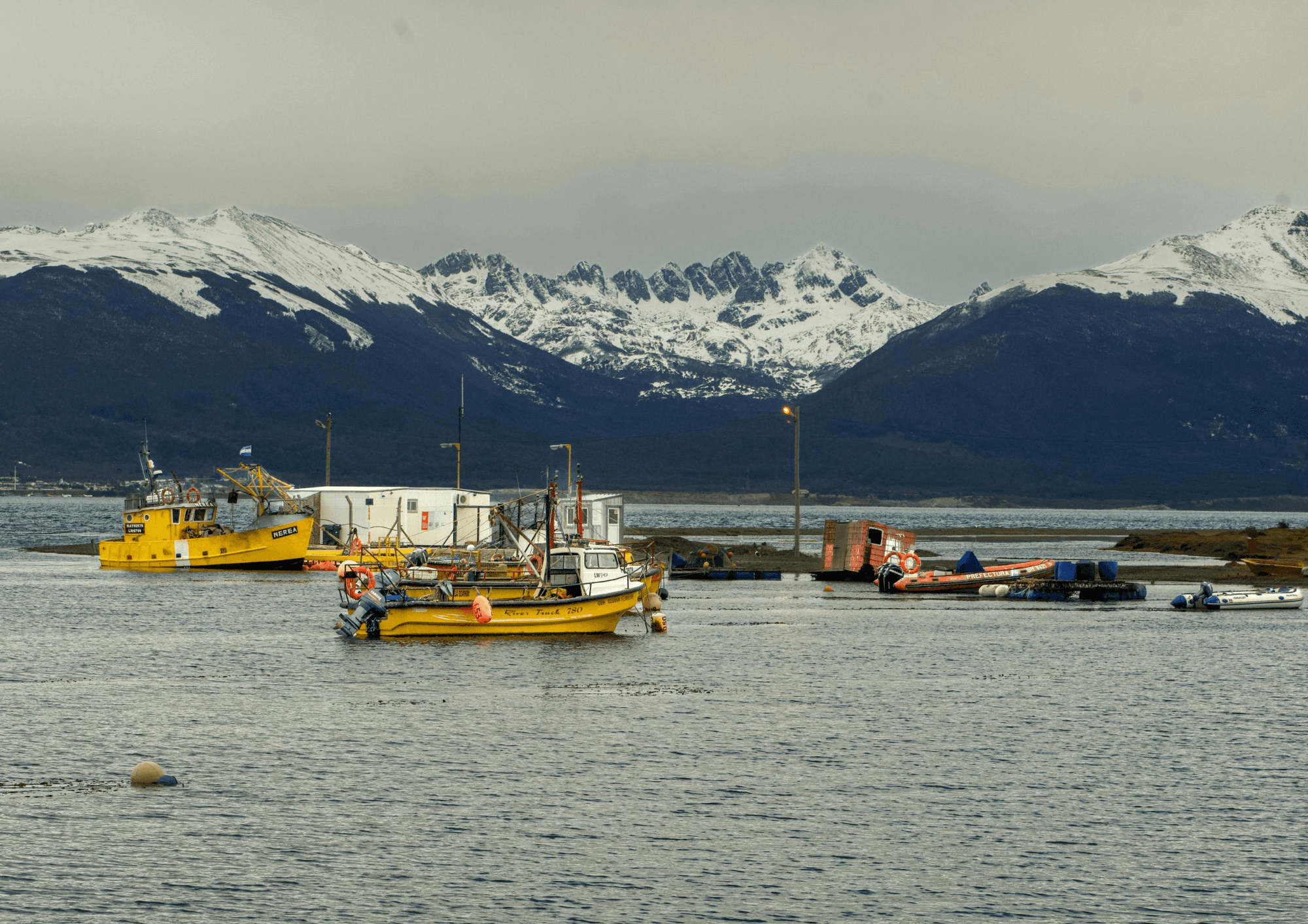 Ruta de la Centolla y Avistaje de Pingüinos