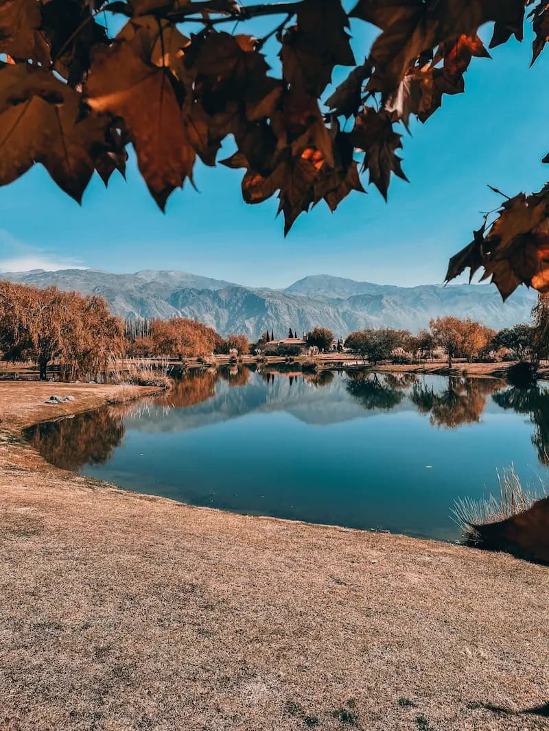 Cafayate