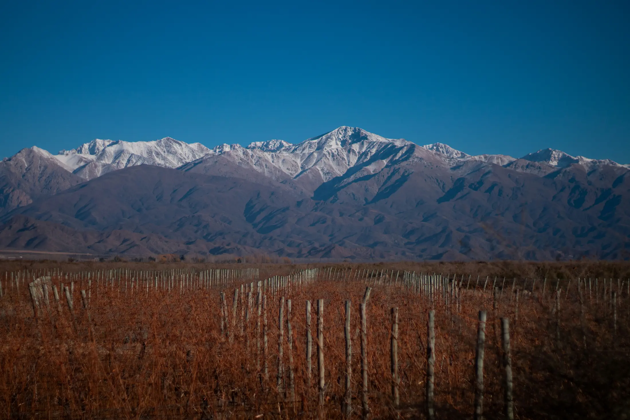 Mendoza