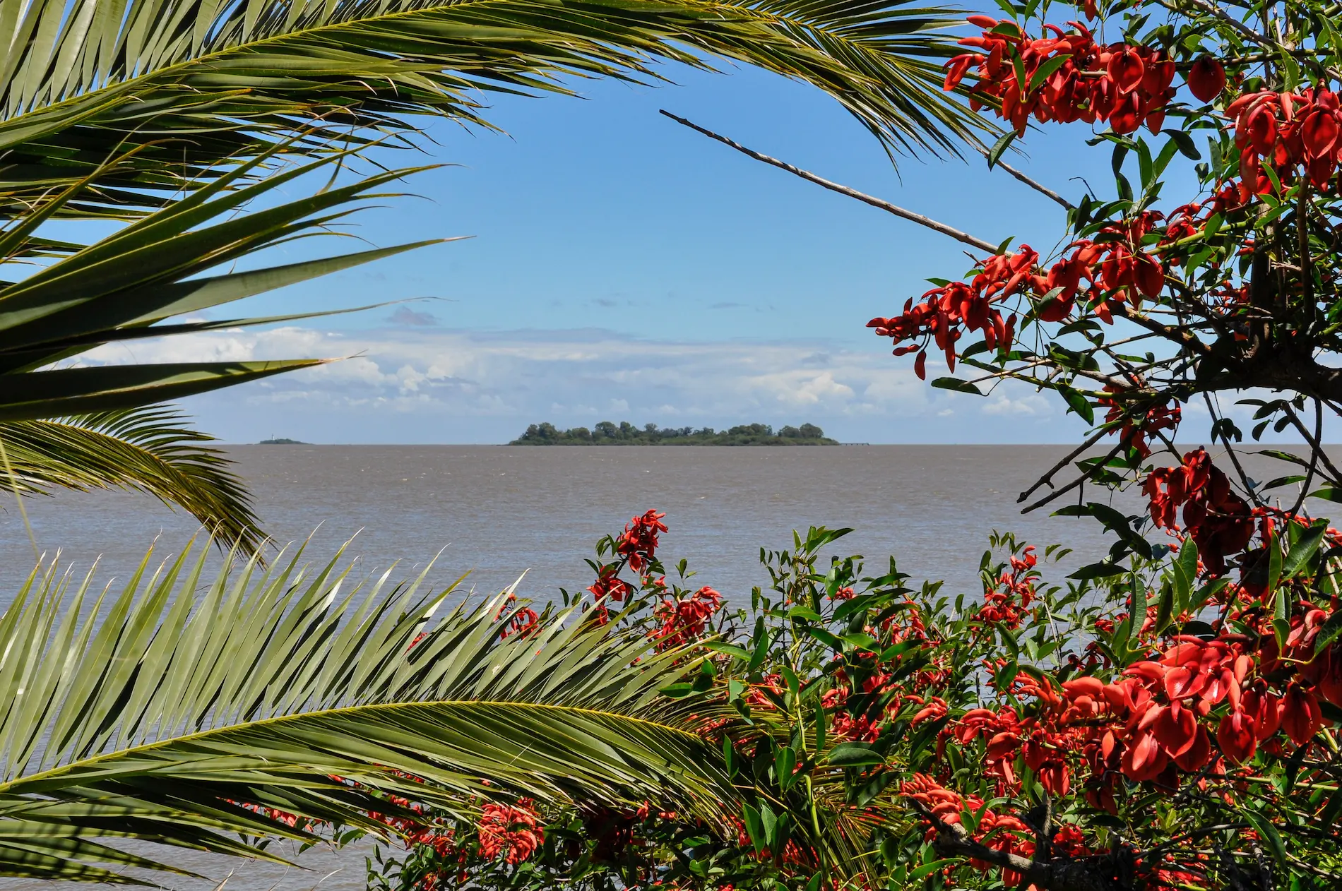 Esteros del Iberá