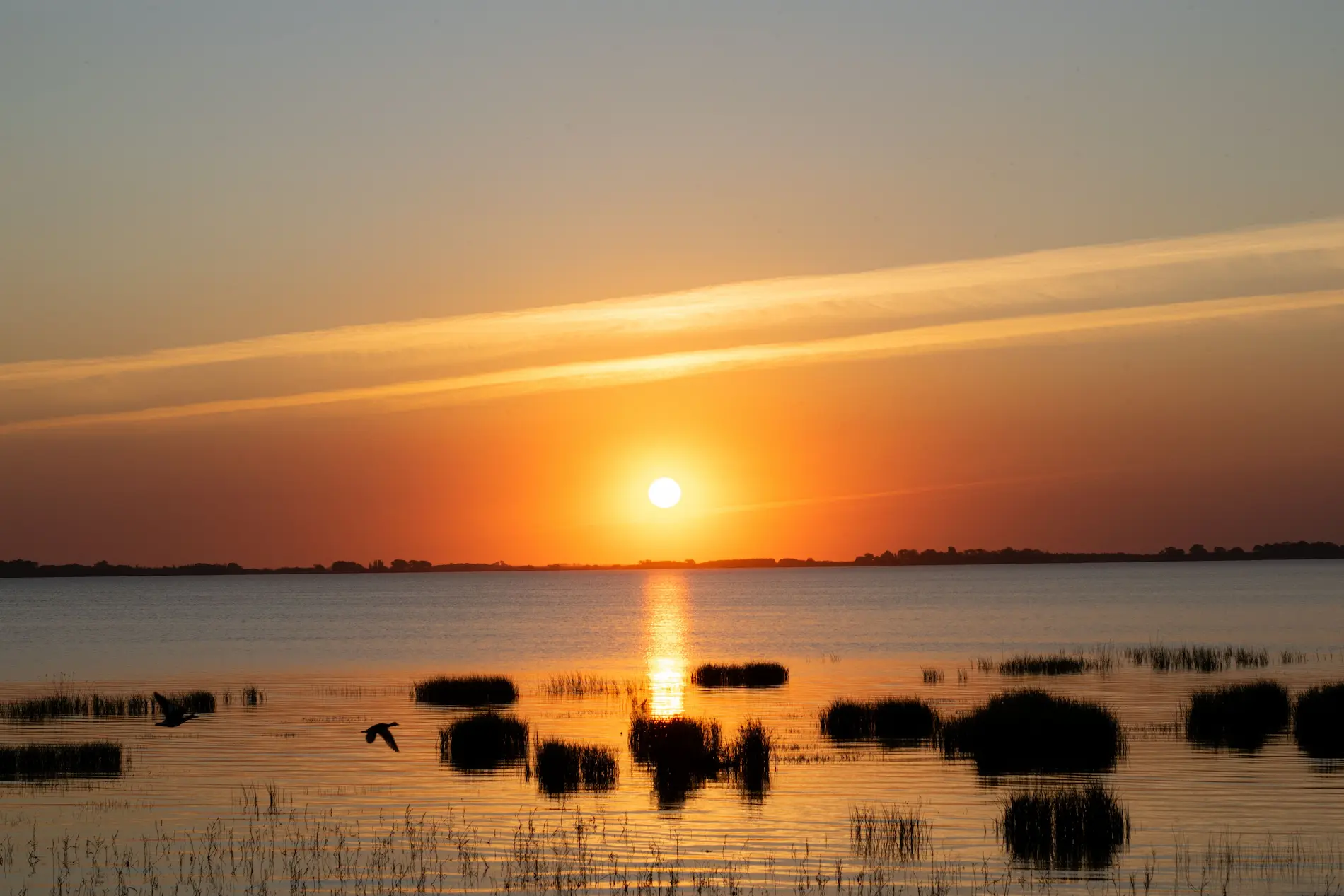 Esteros del Iberá