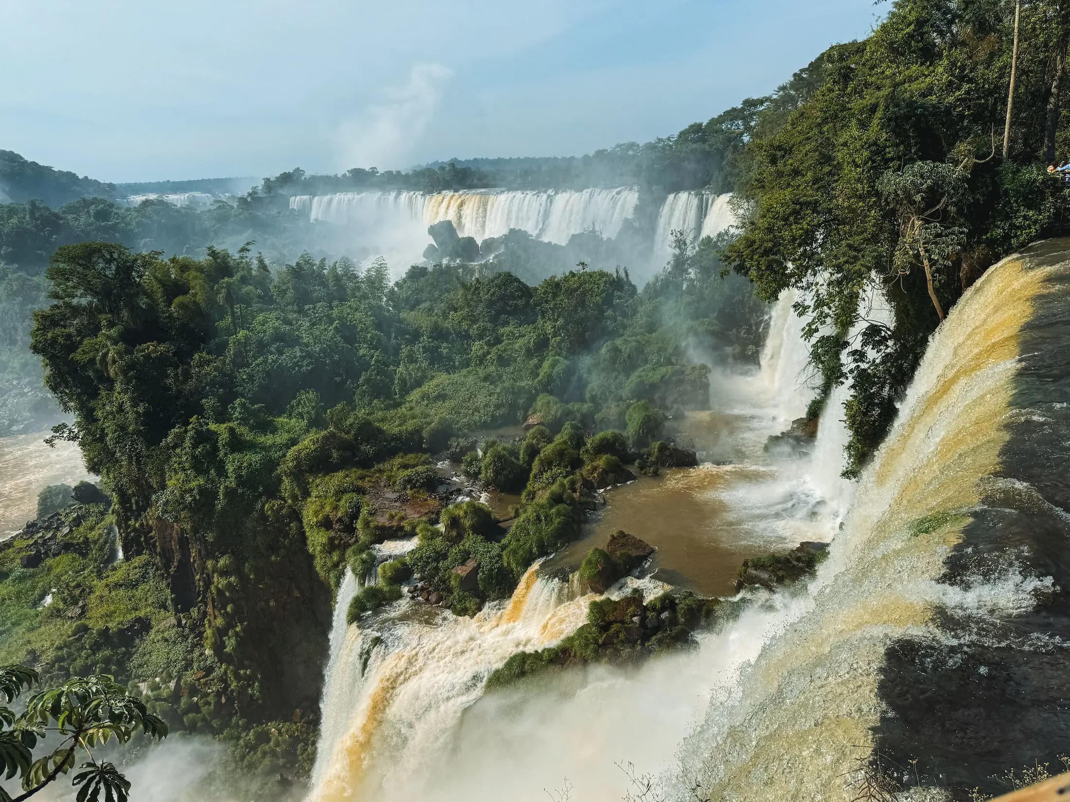 La fuerza del agua y la selva